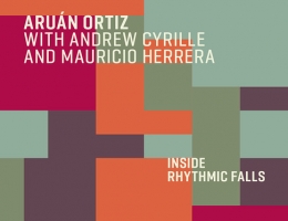 ARUÁN ORTIZ: Inside Rhythmic Falls