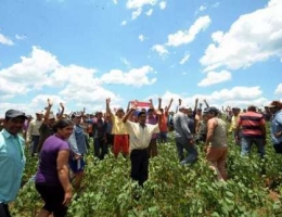 Paraguay: «brasiguayo» è il re della soja