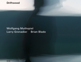 “Driftwood”, Wolfgang Muthspiel & ECM
